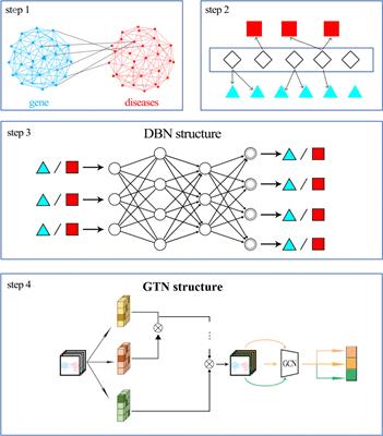 Prediction of Gastric Cancer-Related Genes Based on the Graph Transformer Network